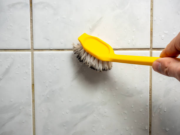 Fish Hawk, FL Mold Removal Company