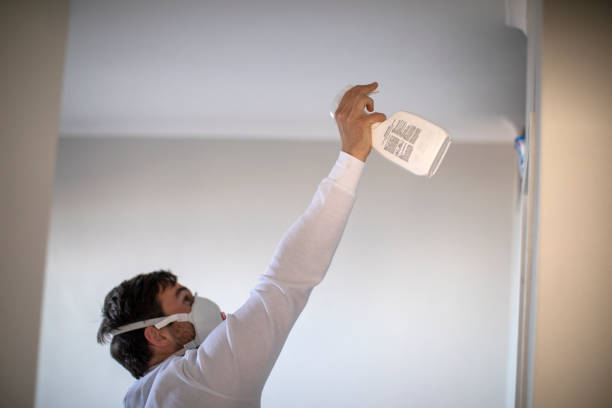 Best Mold Testing  in Fish Hawk, FL