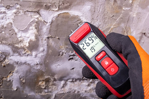 Best Water Damage Restoration  in Fish Hawk, FL