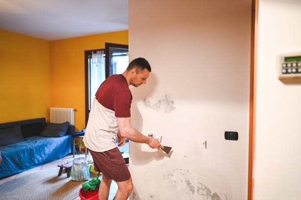 Best Commercial Mold Removal  in Fish Hawk, FL